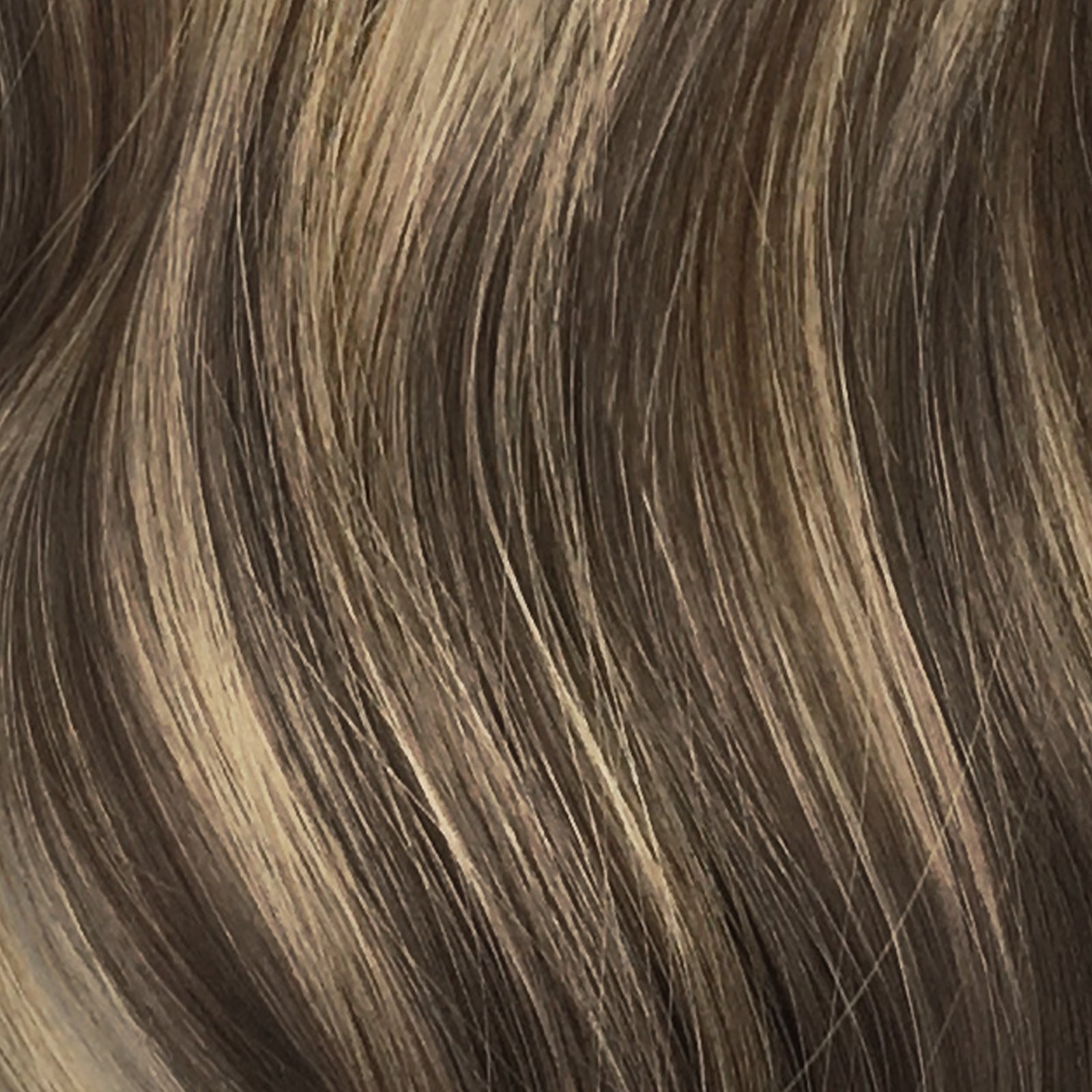 Chocolate Brown / Honey Blonde Balayage (4/26/4) Doores Band
